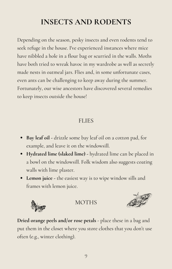 Ebook "100+ Traditional Insights for Household Chores - Image 7