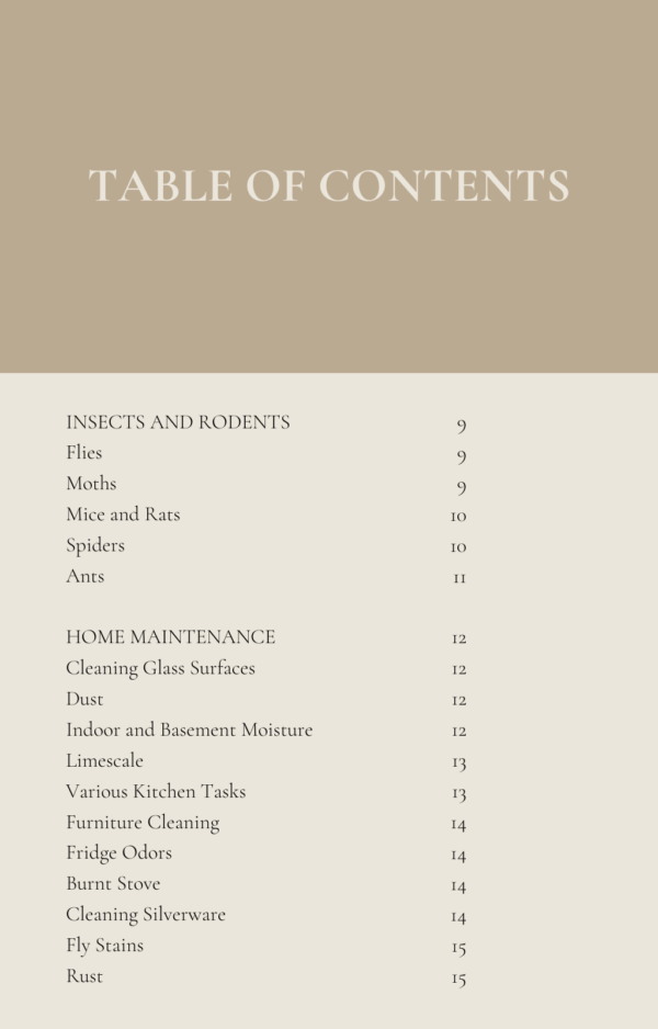 Ebook "100+ Traditional Insights for Household Chores - Image 4