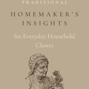 Ebook "100+ Traditional Insights for Household Chores